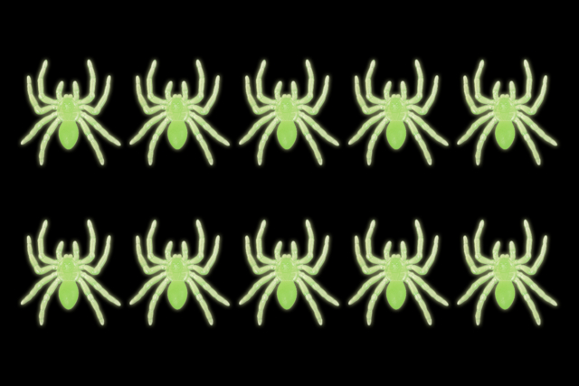 glow-in-the-dark spiders halloween - Accessoires créatifs Halloween - 10doigts.fr