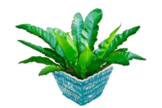 Wooden Plant Pot, 11 cm - 3 - Mosaic Supports - 10doigts.com - Supports Mosaïques - 10doigts.fr
