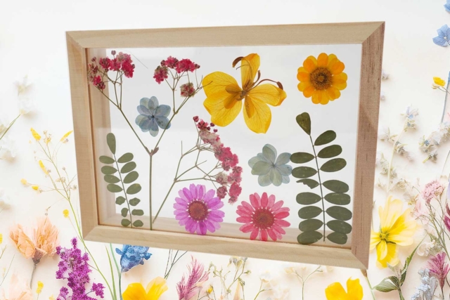 Double Acrylic Frame - 16 x 11.8 cm - 2 - Wooden Photo Frames - 10doigts.com - Cadres photo en bois à décorer - 10doigts.fr