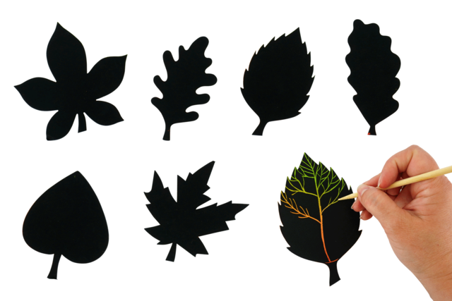 Scratch Art Leaves - 6 pieces - 1 - Creative Autumn Kits - 10doigts.com - Kits créatifs d'automne : des activités clé en main pour les enfants - 10doigts.fr
