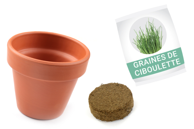 Chive Planting Kit - 12 Pieces - 1 - Gardening for Kids - 10doigts.com - Jardinage enfants - 10doigts.fr