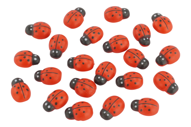 Wooden Adhesive Ladybugs - 24 Pieces - 1 - Painted Wooden Decor - 10doigts.com - Déco en bois peint - 10doigts.fr