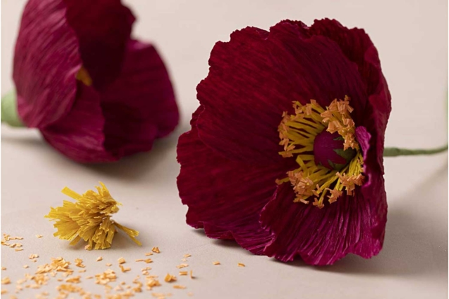 amapola otoño crepón - Fleurs en papier crépon : créez des bouquets éternels - 10doigts.fr