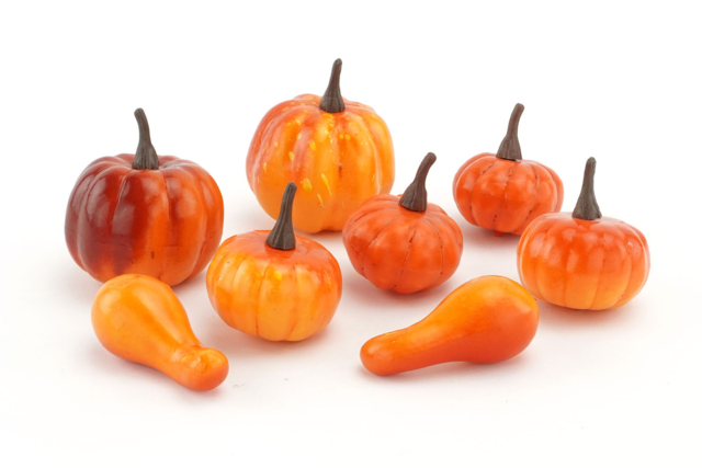 Decorative Small Pumpkins - 8 Pieces - 1 - Natural Decorations - 10doigts.com - Décors nature : matériaux naturels pour les loisirs créatifs - 10doigts.fr