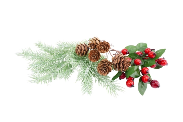 Christmas Decoration Assortment - 18 Pieces - 7 - Nature Christmas Decor - 10doigts.com - Déco Noël nature : éléments naturels à coller - 10doigts.fr