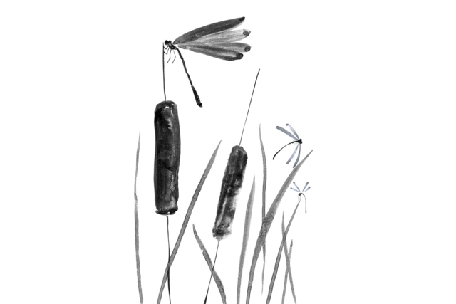 dibujo pluma tinta china - Encres liquides : la pureté de la couleur pour vos dessins - 10doigts.fr