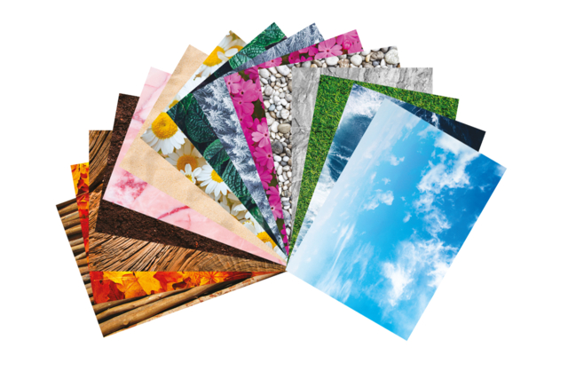 hojas inspiración naturaleza - Papiers Format A4 - 10doigts.fr