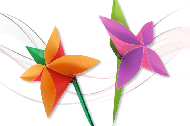 Bicolored Origami Paper - 100 Sheets - 5 - Origami Papers - 10doigts.com - Papiers Origami - 10doigts.fr