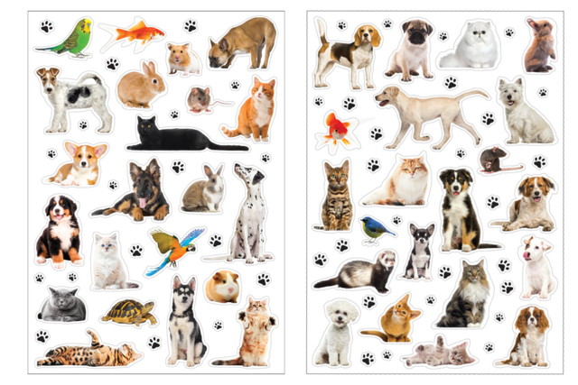Animal Stickers - 42 pcs - 3 - Realistic Stickers - 10doigts.com - Gommettes réalistes pour enfants : l’éveil par l’image - 10doigts.fr