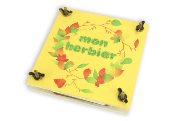 Leaf Stickers - 510 pcs - 7 - Season Stickers - 10doigts.com - Gommettes saisons : des autocollants pour toute l’année - 10doigts.fr