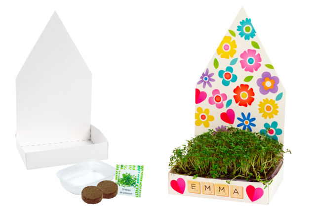 Growing Planters Kit - 6 Pieces - 1 - Animal and Nature Kits - 10doigts.com - Kits animaux et nature : créez votre propre univers sauvage - 10doigts.fr