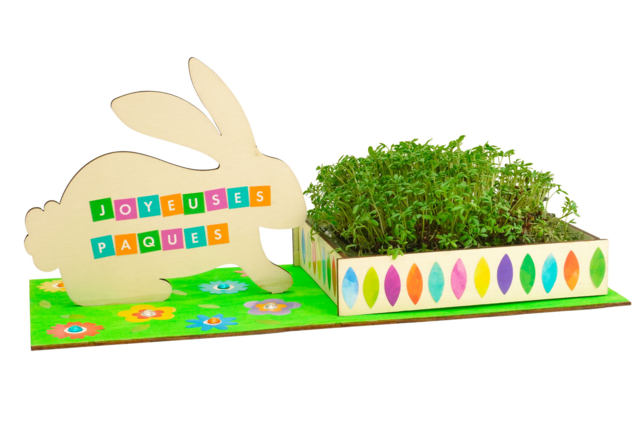 Rabbit Planter Kits + Cresson - 6 pcs - 1 - Easter Craft Kits - 10doigts.com - Kits créatifs Pâques - 10doigts.fr