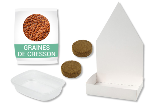 Growing Planters Kit - 6 Pieces - 2 - Animal and Nature Kits - 10doigts.com - Kits animaux et nature : créez votre propre univers sauvage - 10doigts.fr