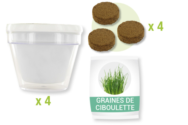 Gardening Kit: Chive Pots - 4 Pieces - 2 - Gardening for Kids - 10doigts.com - Jardinage enfants - 10doigts.fr