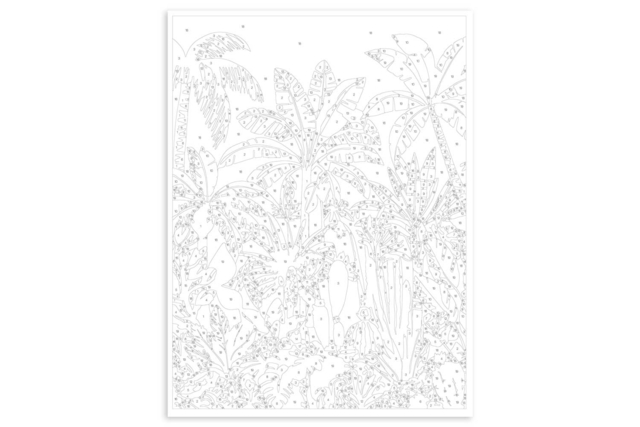 kit de pintura por números - Naturaleza tropical - Peinture aux numéros : découvrez l'art du tableau numéroté pour tous - 10doigts.fr