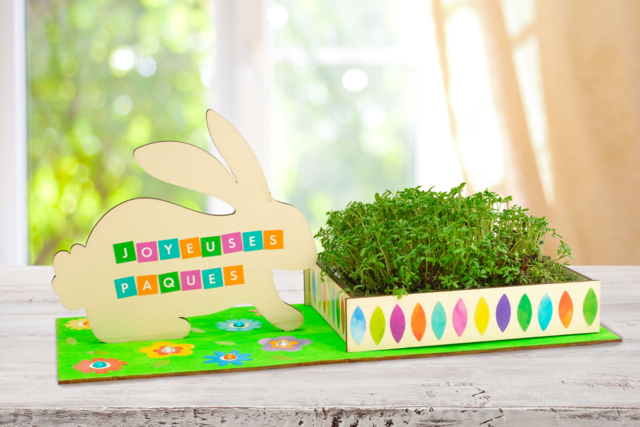 Rabbit Planter Kits + Cresson - 6 pcs - 3 - Easter Craft Kits - 10doigts.com - Kits créatifs Pâques - 10doigts.fr