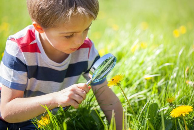 lupa infantil naturaleza - Découverte de la nature : activités d'observation et de création - 10doigts.fr