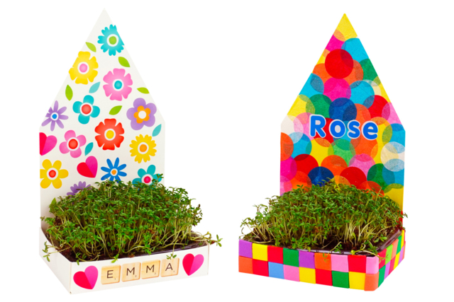 Growing Planters Kit - 6 Pieces - 4 - Animal and Nature Kits - 10doigts.com - Kits animaux et nature : créez votre propre univers sauvage - 10doigts.fr