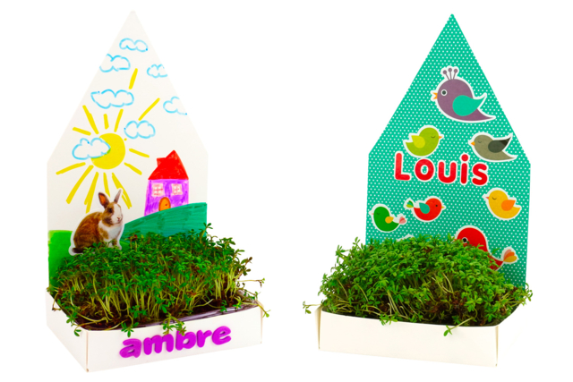 Growing Planters Kit - 6 Pieces - 3 - Animal and Nature Kits - 10doigts.com - Kits animaux et nature : créez votre propre univers sauvage - 10doigts.fr