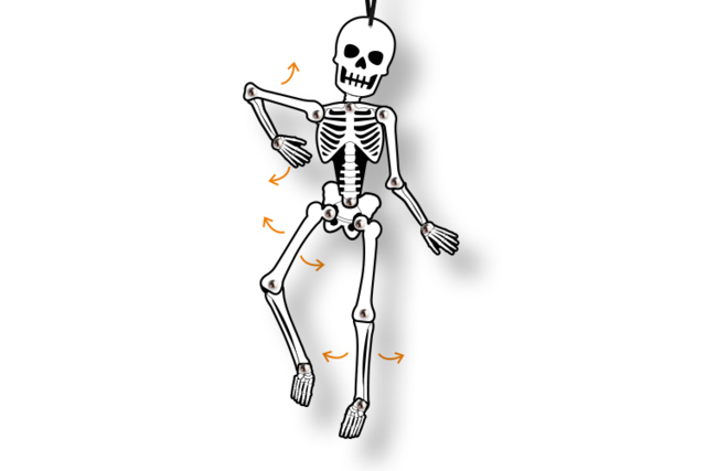 Mobile articulated skeleton - 4 - Halloween Craft Kits - 10doigts.com - Kits créatifs Halloween - 10doigts.fr