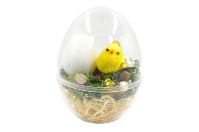 Transparent Surprise Eggs - 5 Pieces - 10 - Creative Easter Eggs - 10doigts.com - Oeufs de Pâques créatif - 10doigts.fr