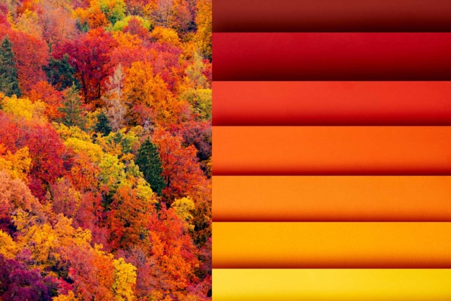 papeles de otoño - Papiers Grands Formats - 10doigts.fr