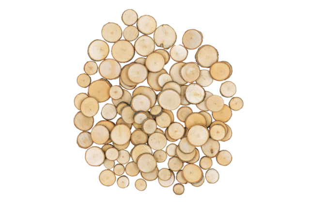 Natural Wooden Discs - 100 Pieces - 1 - Natural Decorations - 10doigts.com - Décors nature : matériaux naturels pour les loisirs créatifs - 10doigts.fr