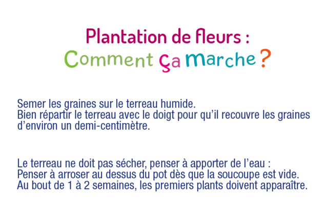 Herb Seeds - 5 - Gardening for Kids - 10doigts.com - Jardinage enfants - 10doigts.fr