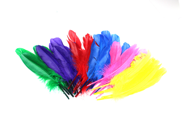 Large Indian Feathers - 36 Pieces - 5 - Decorative Feathers - 10doigts.com - Plumes décoratives - 10doigts.fr