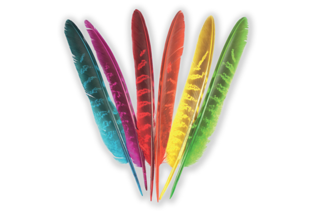 Striped Colorful Feathers - 24 Pieces - 1 - Decorative Feathers - 10doigts.com - Plumes décoratives - 10doigts.fr