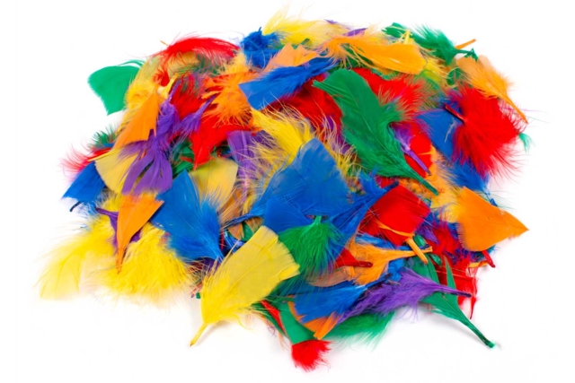 colored feathers 1000 pieces - Plumes décoratives - 10doigts.fr