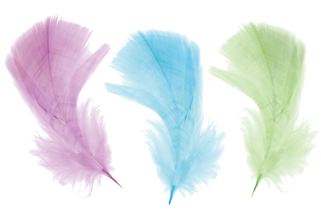 Pastel Feathers - Approximately 50 Feathers - 2 - Decorative Feathers - 10doigts.com - Plumes décoratives - 10doigts.fr
