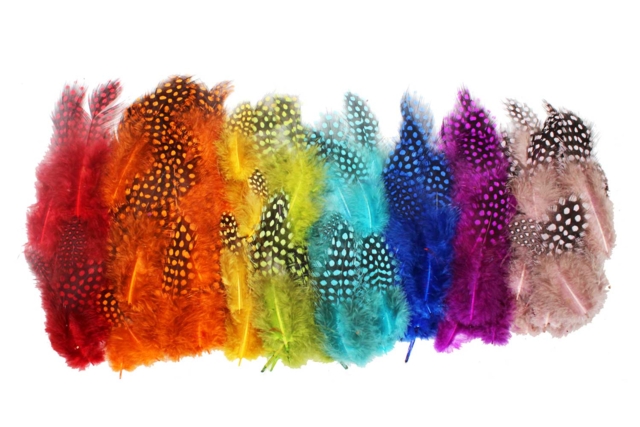 Colored Guinea Fowl Feathers - Approximately 250 Feathers - 1 - Decorative Feathers - 10doigts.com - Plumes décoratives - 10doigts.fr