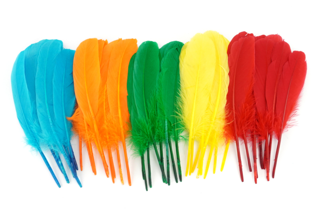 Multicolored Indian Feathers - Approximately 120 Feathers - 1 - Decorative Feathers - 10doigts.com - Plumes décoratives - 10doigts.fr