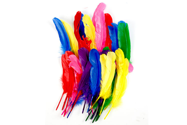 Large Indian Feathers - 36 Pieces - 1 - Decorative Feathers - 10doigts.com - Plumes décoratives - 10doigts.fr
