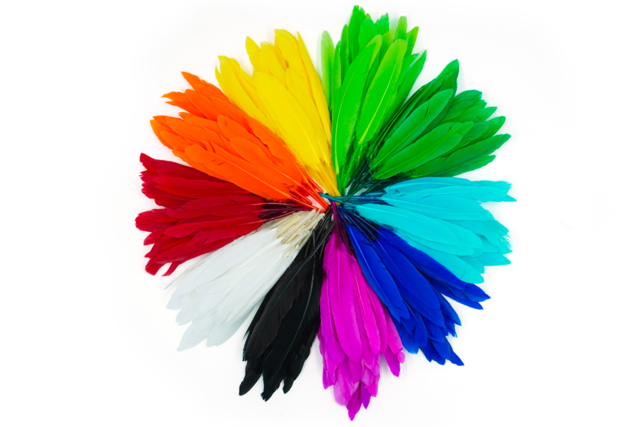 Multicolored Indian Feathers - Approximately 460 Feathers - 1 - Decorative Feathers - 10doigts.com - Plumes décoratives - 10doigts.fr