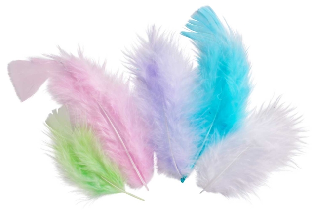 Pastel Feathers - Approximately 50 Feathers - 0 - Decorative Feathers - 10doigts.com - Plumes décoratives - 10doigts.fr