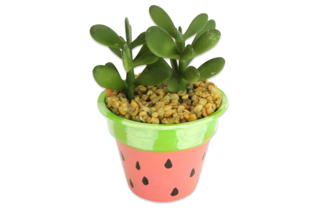 Plastic Pots - 6 Pieces - 10 - Opaque Plastic - 10doigts.com - Plastique Opaque - 10doigts.fr