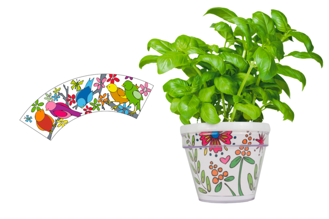 Coloring Flower Pot - 3 - Animal and Nature Kits - 10doigts.com - Kits animaux et nature : créez votre propre univers sauvage - 10doigts.fr