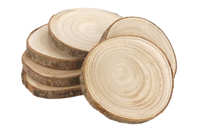 Wood Log Discs Ø 8 to 11 cm - 6 Pieces - 1 - Natural Decorations - 10doigts.com - Décors nature : matériaux naturels pour les loisirs créatifs - 10doigts.fr