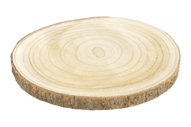 Wood Slice - Ø 20-25 cm - 1 - Natural Decorations - 10doigts.com - Décors nature : matériaux naturels pour les loisirs créatifs - 10doigts.fr