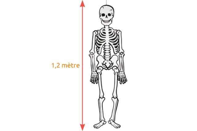 esqueleto de Halloween - Kits créatifs Halloween - 10doigts.fr