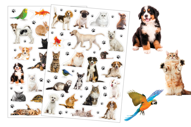 Animal Stickers - 42 pcs - 1 - Realistic Stickers - 10doigts.com - Gommettes réalistes pour enfants : l’éveil par l’image - 10doigts.fr
