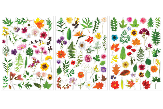 Herbarium Stickers - 3 Sheets (112 pcs) - 7 - Realistic Stickers - 10doigts.com - Gommettes réalistes pour enfants : l’éveil par l’image - 10doigts.fr