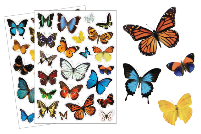 Realistic Butterfly Stickers - 44 pcs - 1 - Realistic Stickers - 10doigts.com - Gommettes réalistes pour enfants : l’éveil par l’image - 10doigts.fr