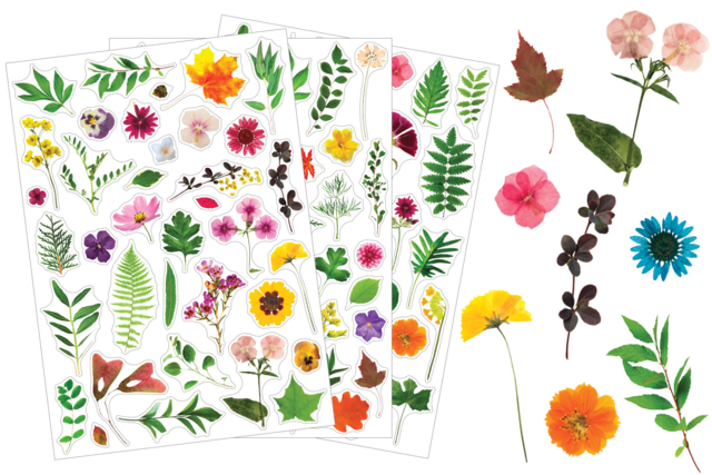 Herbarium Stickers - 3 Sheets (112 pcs) - 1 - Realistic Stickers - 10doigts.com - Gommettes réalistes pour enfants : l’éveil par l’image - 10doigts.fr